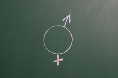 Photo of Sex education. Gender symbol drawn on green chalkboard