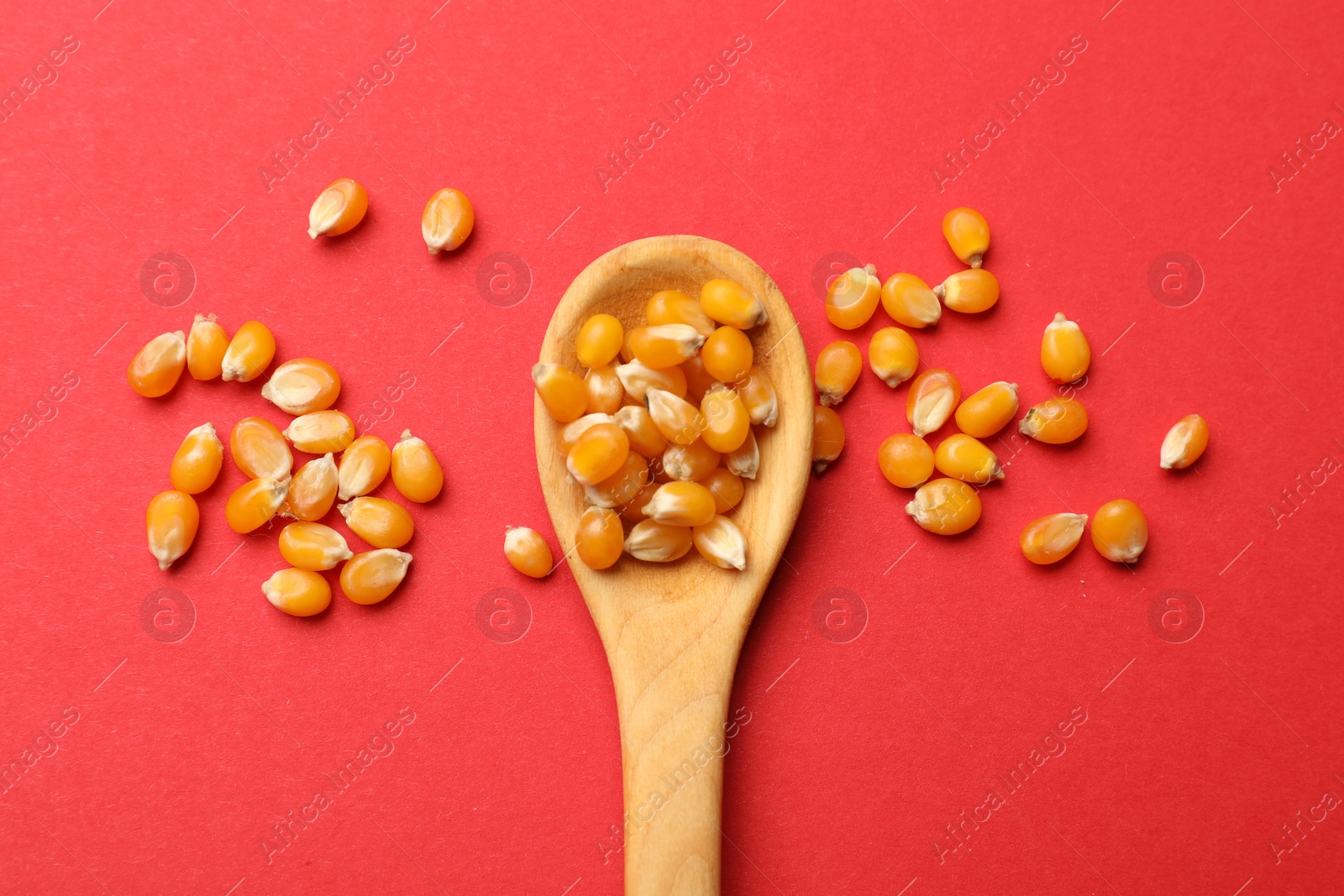 Dry kernels and spoon on red background, flat lay Photo of Dry kernels and spoon on red background, flat lay