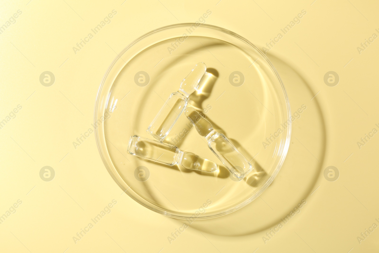 Glass ampoules with liquid and Petri dish on yellow background, top view Photo of Glass ampoules with liquid and Petri dish on yellow background, top view