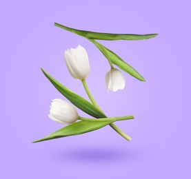 Image of Beautiful tulip flowers falling against lavender color background