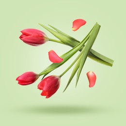 Image of Beautiful red tulip flowers and petals falling against light green background