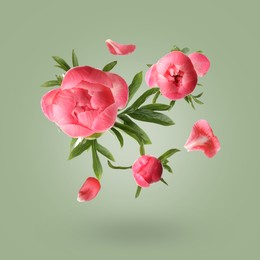Image of Beautiful peony flowers and petals in air against green grey background