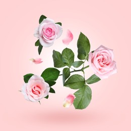 Image of Beautiful roses and petals in air on pink gradient background