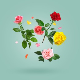 Image of Beautiful roses and petals in air against greyish teal background