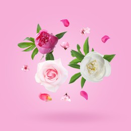 Image of Aromatic flowers and petals in air against pink background
