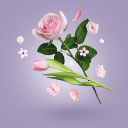 Image of Beautiful flowers and petals in air against light purple gradient background