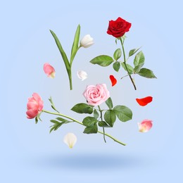 Image of Aromatic flowers and petals in air against light blue background