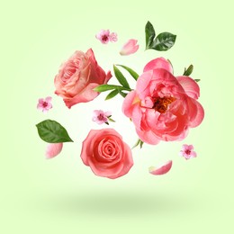 Image of Beautiful flowers and petals in air against light green background