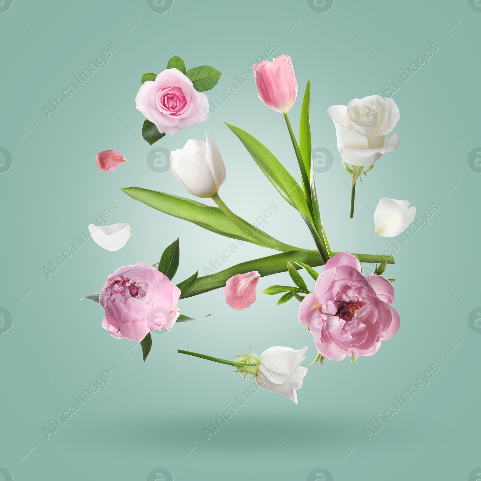 Image of Beautiful flowers and petals in air against greyish teal gradient background
