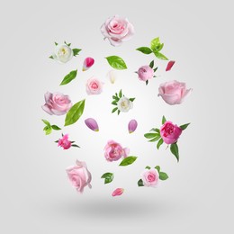 Image of Aromatic flowers, petals and green leaves falling against light grey gradient background
