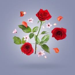 Image of Beautiful flowers and petals in air against blue grey gradient background