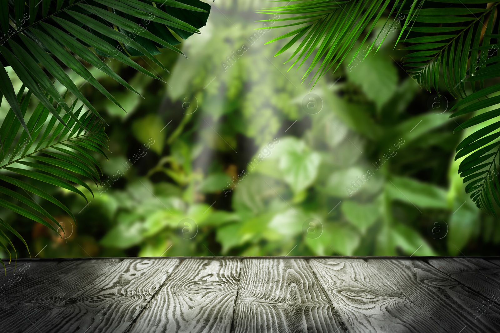 Image of Grey table in jungle. Green tropical leaves above empty wooden surface. Poster with space for design