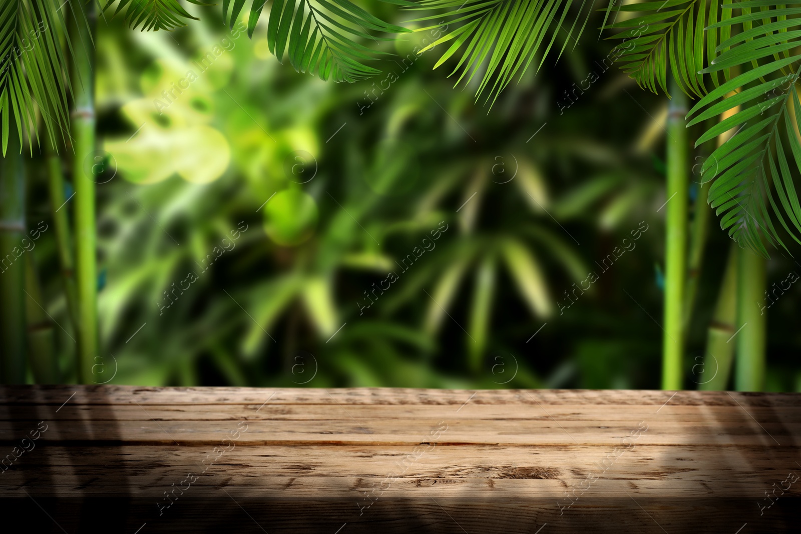 Wooden table in jungle. Green tropical leaves above empty surface. Poster with space for design Image of Wooden table in jungle. Green tropical leaves above empty surface. Poster with space for design