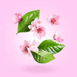 Image of Beautiful spring flowers and green leaves falling against pink gradient background