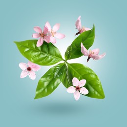 Image of Beautiful spring flowers and green leaves in air against light blue gradient background