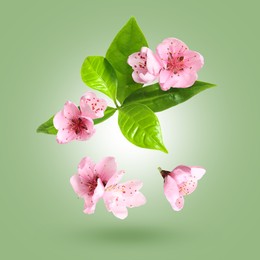 Image of Beautiful spring flowers and green leaves falling against green gradient background