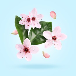 Image of Beautiful spring flowers and green leaves falling against light blue background