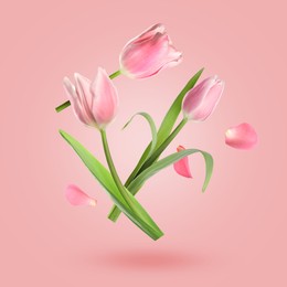 Image of Aromatic tulips and petals falling against pink gradient background