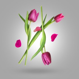 Image of Beautiful tulip flowers and petals falling against grey gradient background