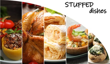 Image of Collage of different stuffed dishes. Banner design