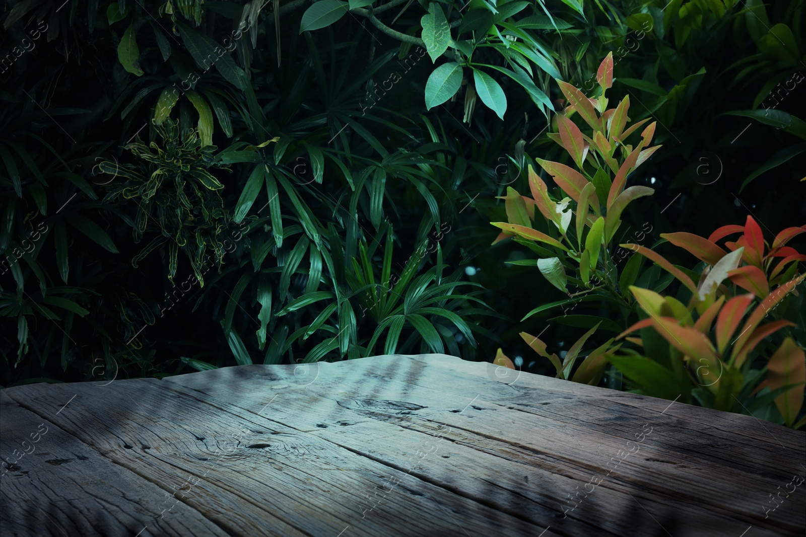 Wooden table in jungle. Empty surface against tropical plants. Poster with space for design Image of Wooden table in jungle. Empty surface against tropical plants. Poster with space for design