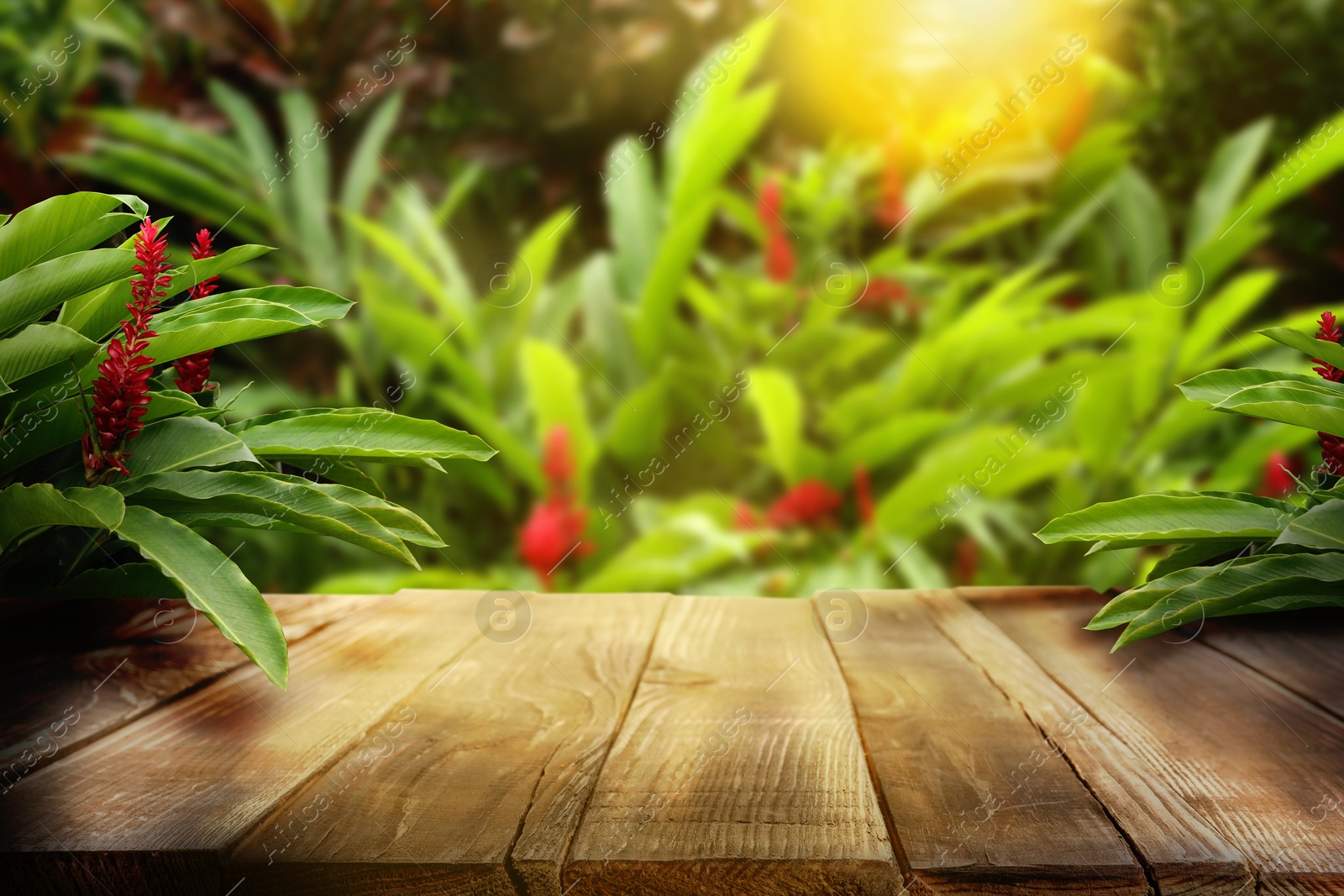 Image of Wooden table in jungle. Empty surface against green tropical plants. Poster with space for design