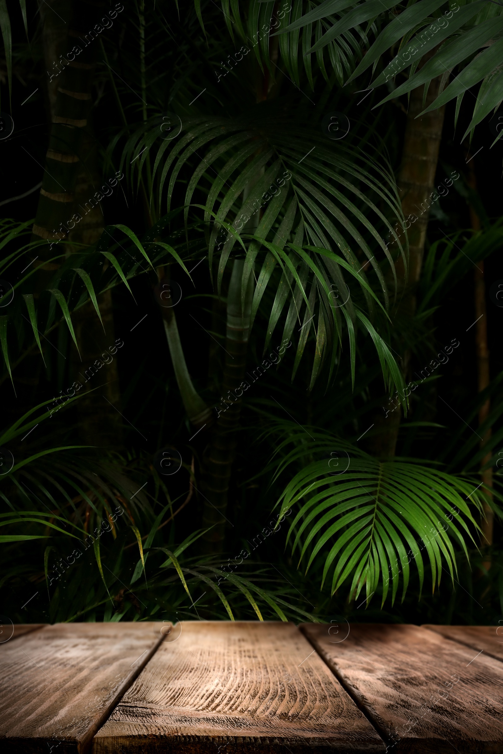 Wooden table in jungle. Empty surface against tropical plants with green leaves. Poster with space for design Image of Wooden table in jungle. Empty surface against tropical plants with green leaves. Poster with space for design