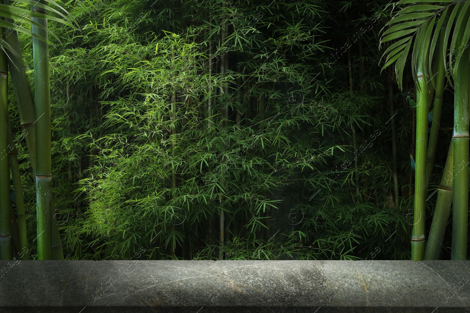 Grey table in jungle. Empty surface against bamboo stalks. Poster with space for design Image of Grey table in jungle. Empty surface against bamboo stalks. Poster with space for design