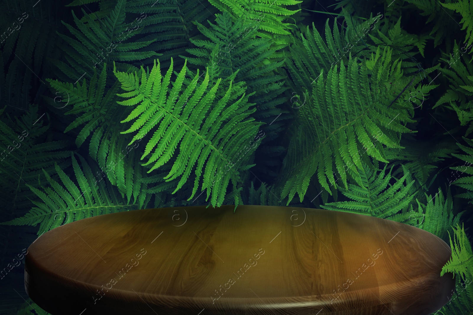 Round table in jungle. Empty wooden surface among green fern leaves. Poster with space for design Image of Round table in jungle. Empty wooden surface among green fern leaves. Poster with space for design