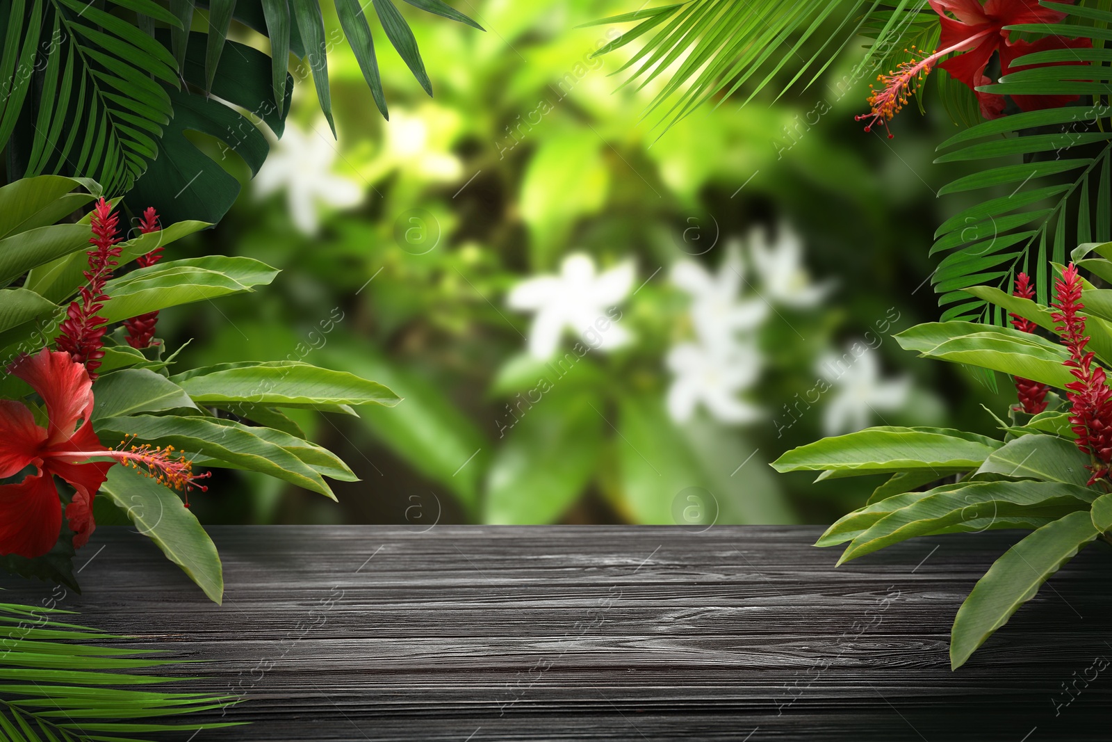 Grey table in jungle. Green tropical leaves and flowers above empty wooden surface. Poster with space for design Image of Grey table in jungle. Green tropical leaves and flowers above empty wooden surface. Poster with space for design