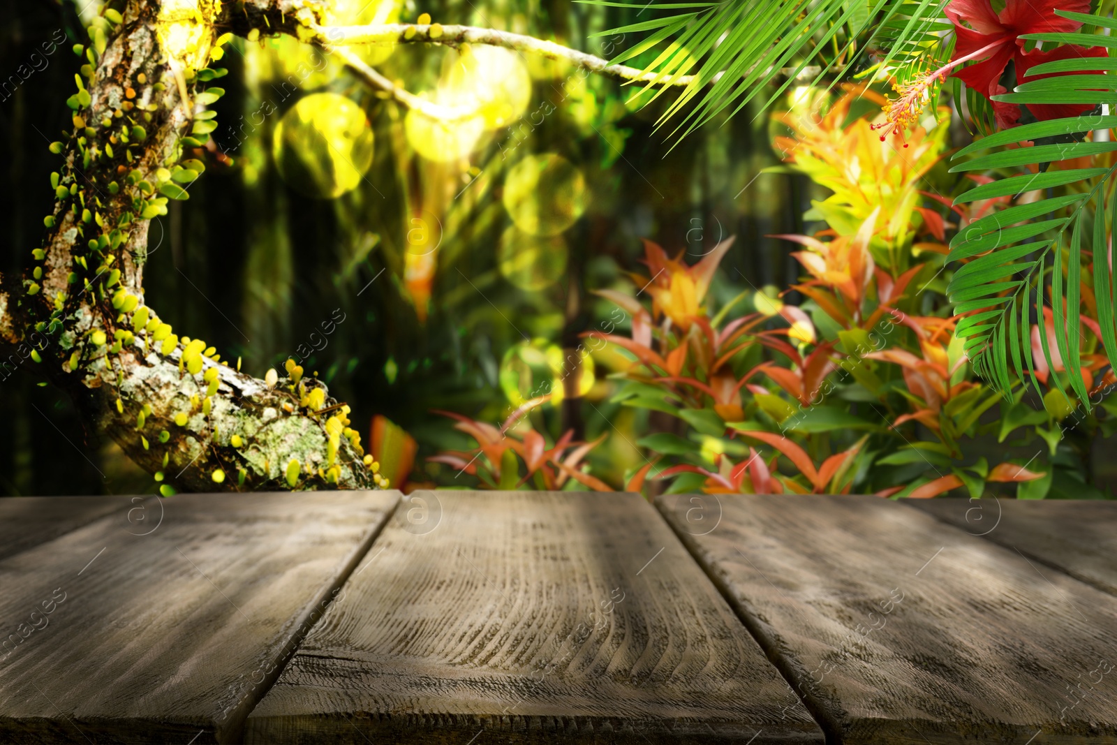 Wooden table in jungle. Empty surface against tropical plants. Poster with space for design Image of Wooden table in jungle. Empty surface against tropical plants. Poster with space for design
