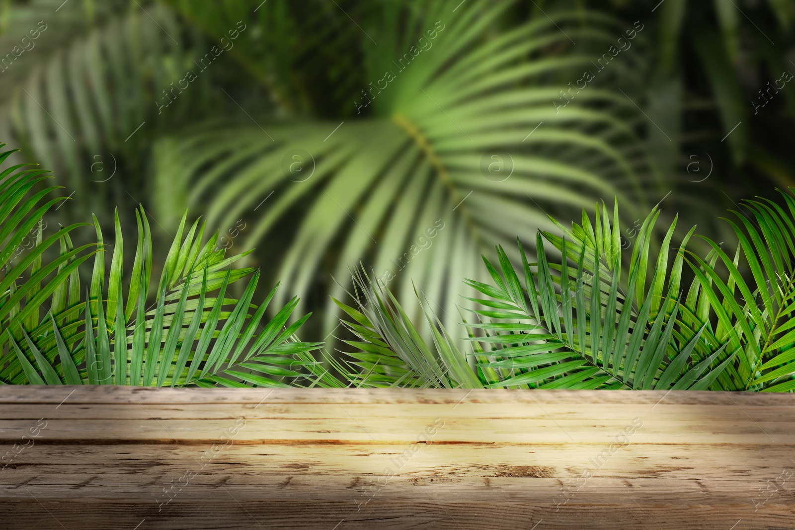 Wooden table in jungle. Empty surface and green tropical leaves. Poster with space for design Image of Wooden table in jungle. Empty surface and green tropical leaves. Poster with space for design