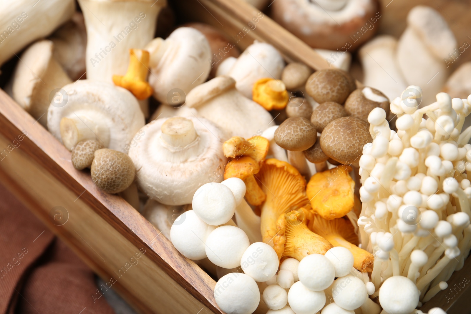 Different raw mushrooms in wooden crate on table, closeup Photo of Different raw mushrooms in wooden crate on table, closeup