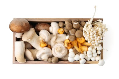 Photo of Different raw mushrooms in crate isolated on white, top view
