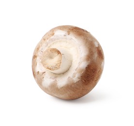 Photo of One fresh raw champignon isolated on white