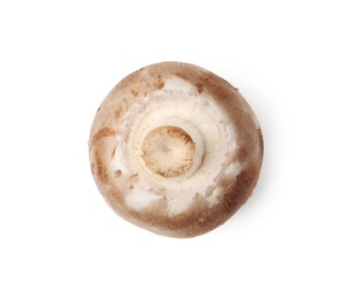 Photo of One fresh raw champignon isolated on white, top view