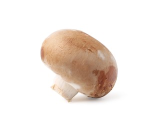Photo of One fresh raw champignon isolated on white
