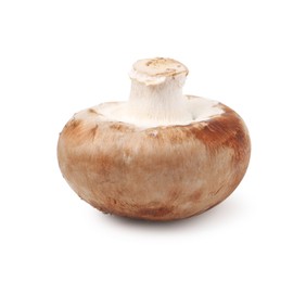 Photo of One fresh raw champignon isolated on white