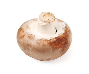 Photo of One fresh raw champignon isolated on white