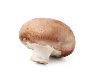 Photo of One fresh raw champignon isolated on white