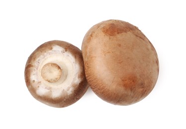 Photo of Fresh raw champignon mushrooms isolated on white, top view