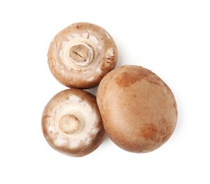 Photo of Fresh raw champignon mushrooms isolated on white, top view