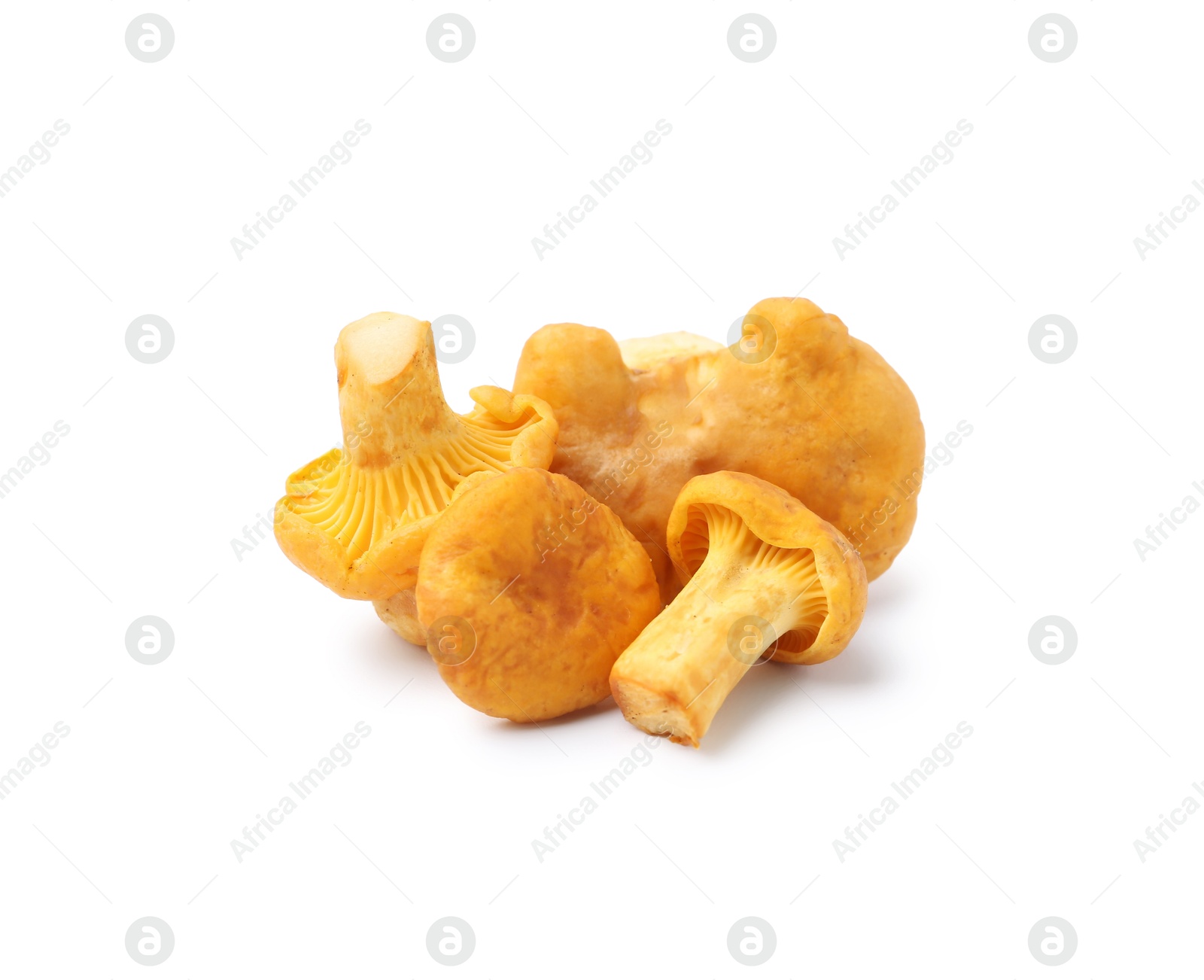 Fresh raw chanterelle mushrooms isolated on white Photo of Fresh raw chanterelle mushrooms isolated on white