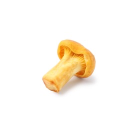Photo of Fresh raw chanterelle mushroom isolated on white