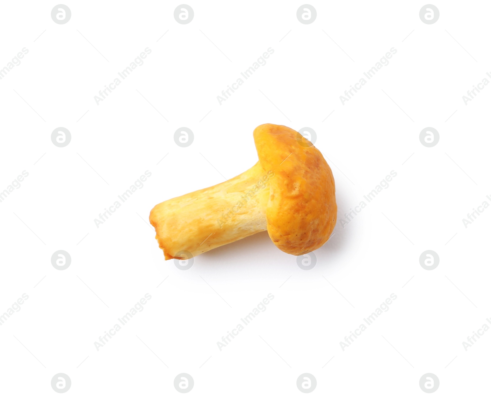 Photo of Fresh raw chanterelle mushroom isolated on white, top view