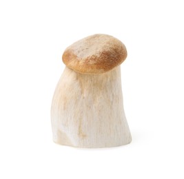 Photo of One raw eryngii mushroom isolated on white