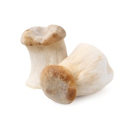 Photo of Fresh raw eryngii mushrooms isolated on white
