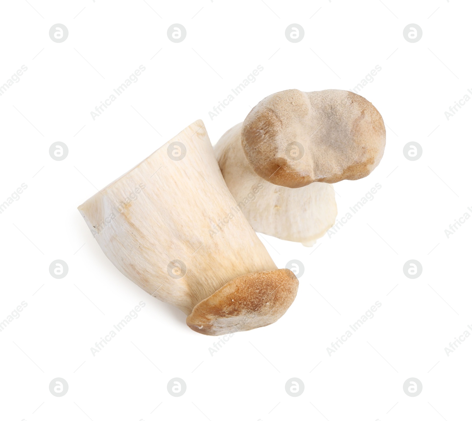 Fresh raw eryngii mushrooms isolated on white, top view Photo of Fresh raw eryngii mushrooms isolated on white, top view