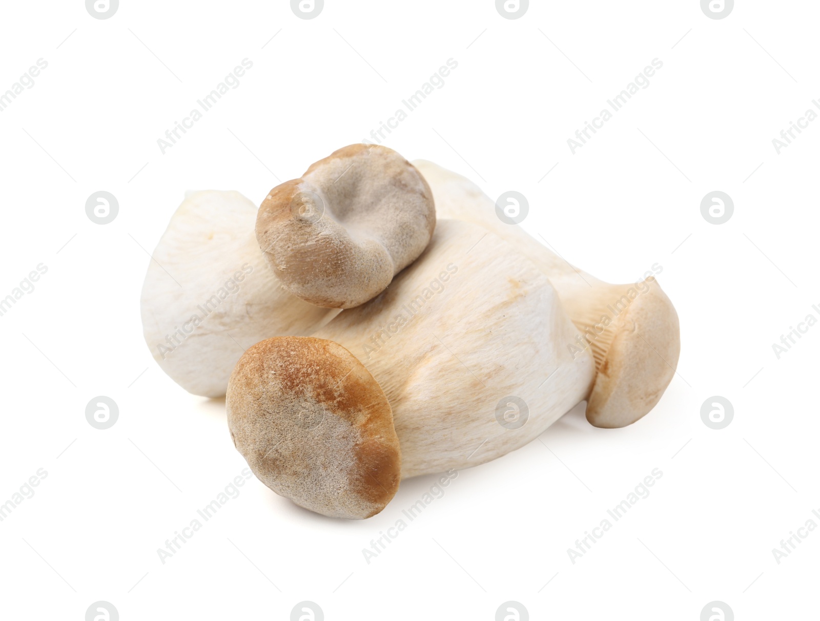 Photo of Fresh raw eryngii mushrooms isolated on white