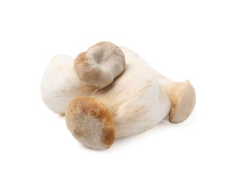Photo of Fresh raw eryngii mushrooms isolated on white